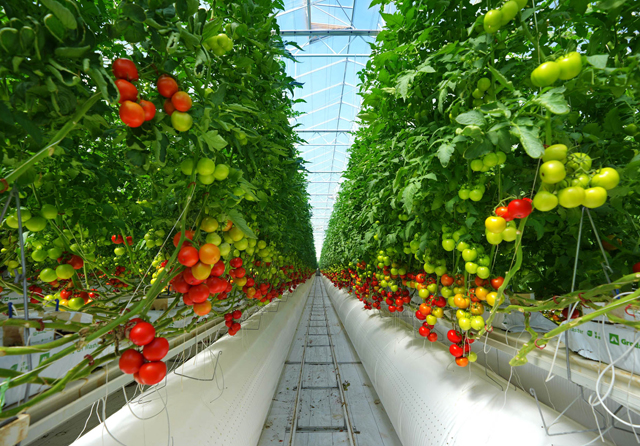 farm-main_photo