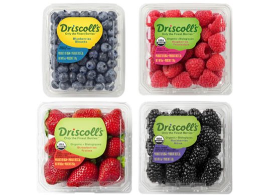 driscolls-Berries