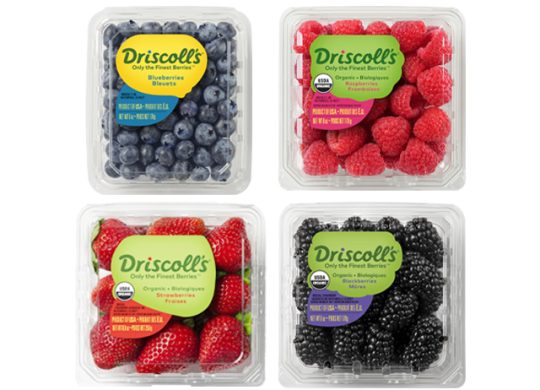 Driscolls Berries