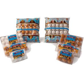 Hawa-Chicken-Eggs