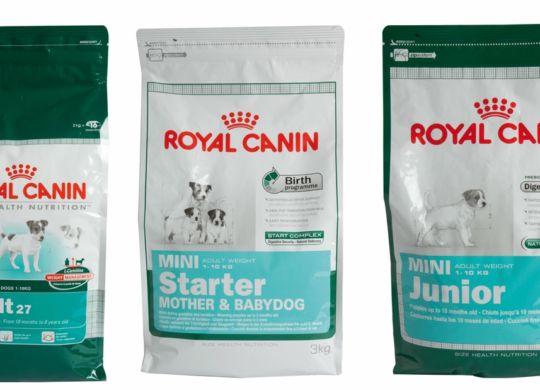 Royal Canin health nutrition for mini dogs